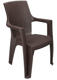 Galleon Design Kollu Rattan 2 Adet Bahçe Sandalyesi