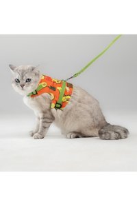 Patipatron Düz Avokado Ayarlanabilir Gezdirme Göğüs Kedi Tasması