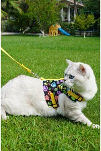 Patipatron Düz Sarı Ayarlanabilir Gezdirme Göğüs Kedi Tasması