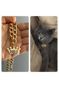 Süslüpaticikler Düz Altın Gezdirme Boyun Kedi Tasması