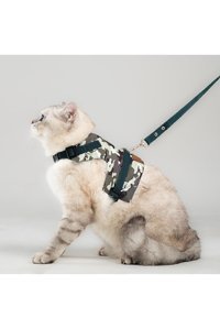 Patipatron Düz Kamuflaj Ayarlanabilir Gezdirme Göğüs Kedi Tasması