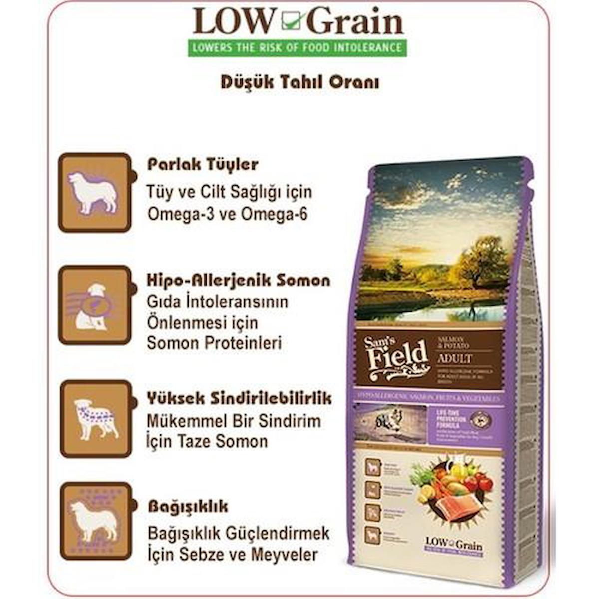 Sam'S Field Hypo-Allergenic Patatesli Somonlu Tüm Irklar Yetişkin Köpek Maması 2.5 Kg