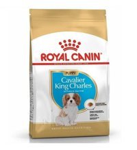 Royal Canin Junior Cavalier King Charles Kümes Hayvanlı Tüm Irklar Yavru Köpek Maması 1.5 Kg