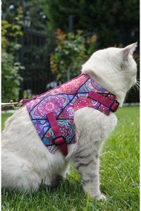 Patipatron Düz Mavi Ayarlanabilir Gezdirme Göğüs Kedi Tasması