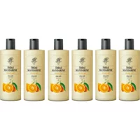 Rebul Mandalina Duş Jeli 6x500 ml