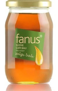 Fanus Salgı Organik Süzme Çam Balı 460 gr