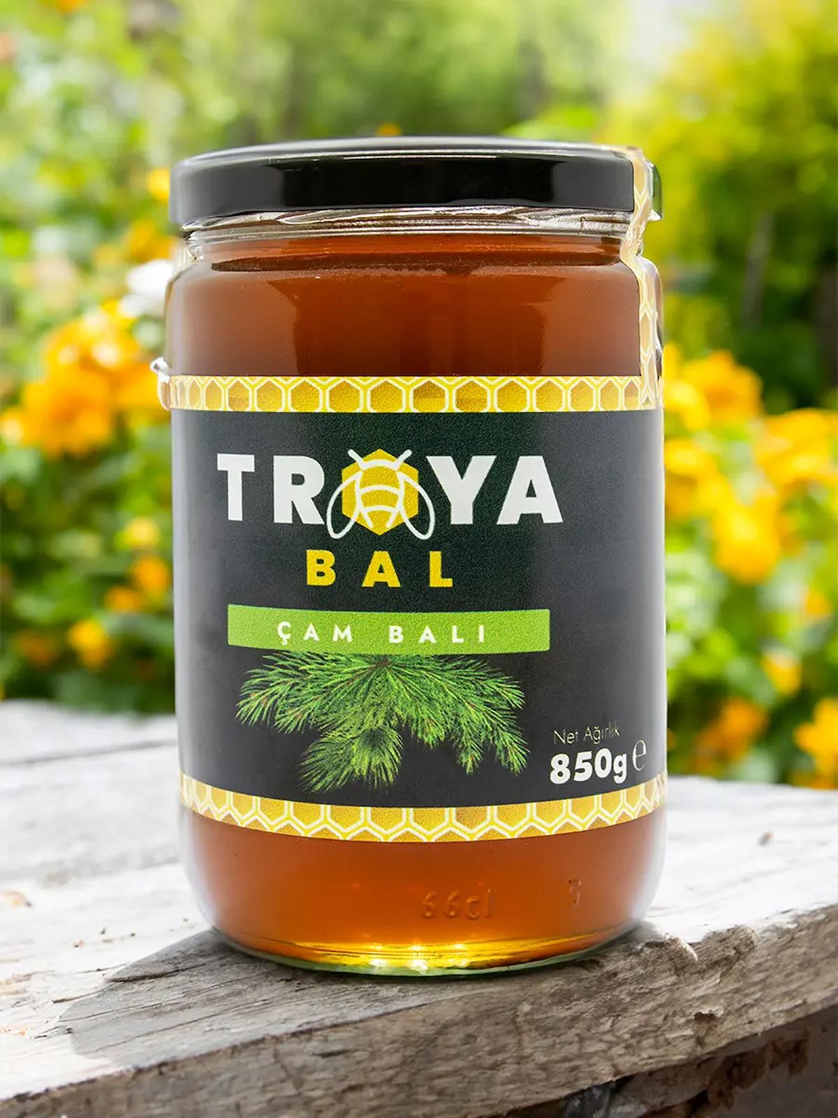 Troya Organik Süzme Çam Balı 850 gr