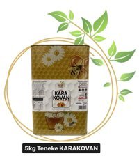 Baştan Yöresel Teneke Organik Karakovan Süzme Çiçek Balı 5 kg
