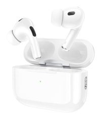 Hoco EW47 Kulak İçi Bluetooth Kulaklık