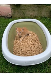 Biocal Kalın Taneli Pelet Kedi Kumu 15 kg