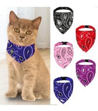 Tineke Mavi Gezdirme Boyun Kedi Tasması