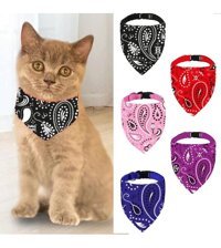 Tineke Siyah Gezdirme Boyun Kedi Tasması