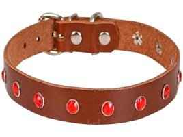 Doggie İsimlikli Kahverengi Gezdirme Boyun Kedi Tasması