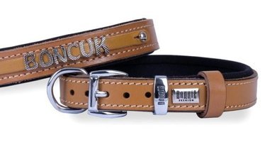Doggie Glowcat Halsband Camel Gezdirme Boyun Kedi Tasması