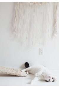 Lalezen Kedi Tırmalama Rampası