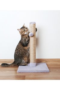 LoyaPed Oyuncaklı 42 cm Kedi Tırmalama Direği