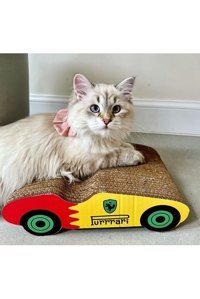 Miyav Purrari 30 cm Kedi Tırmalama Rampası