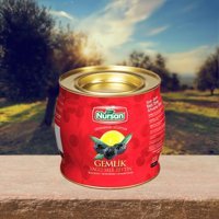 Nursan Sele Gemlik Siyah Zeytin Teneke 2 kg