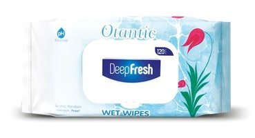 Deep Fresh Otantik 120 Yaprak Islak Mendil