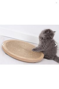 Hediyelza 36 cm Kedi Tırmalama Tahtası