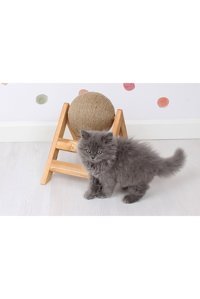Femusa Kedi Tırmalama Tahtası