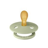 Bibs Colour 6 Ay+ Ortodontik Kiraz Uçlu Kauçuk Emzik Yeşil