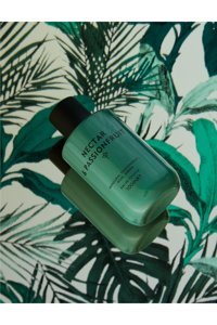 Marks & Spencer EDT Meyvemsi Kadın Parfüm 100 ml