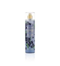 Nurxos 9077 Blueberry Kadın Vücut Spreyi 250 ml