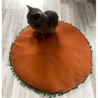 Luvaluva Tek Fonksiyonlu 70 cm Minder Kedi Yatağı Turuncu