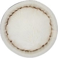 Lepus Yıkanabilir Tek Fonksiyonlu 50x17 cm Simit Kedi Yatağı Vizon