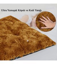Patiderm Yıkanabilir Tek Fonksiyonlu 35x50 cm Minder Kedi Yatağı Çok Renkli