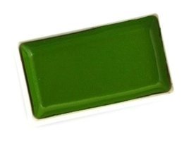 ​Zig Kuretake Gansai Tambi 53 Mıd Green Sulu Boya