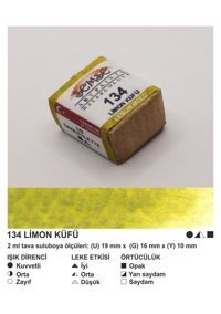 Şemse El Yapımı Sanatsal 12 Tava Limon Küfü Taş Sulu Boya