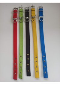 Kozaklı Ayarlanabilir Boyun Köpek Tasması 2.5 x 50 cm Çok Renkli