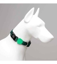 Lindo Brazil Ayarlanabilir Boyun Köpek Tasması M Yeşil