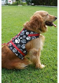 Patipatron Kaçış Önleyici Ayarlanabilir Göğüs Köpek Tasması 3XL Kırmızı