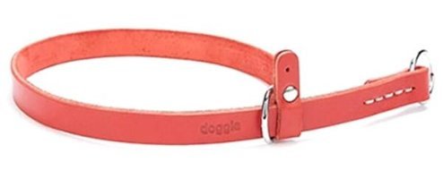 Doggie Ayarlanabilir Eğitim Tasması Köpek Tasması 1.5 x 30 - 40 cm Kırmızı