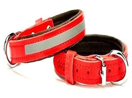 Doggie Sbt2045 Ayarlanabilir Boyun Köpek Tasması M Kırmızı