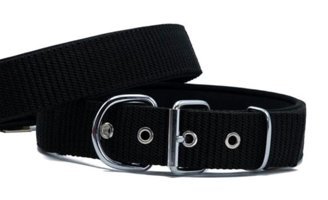Doggie Elit Ayarlanabilir Boyun Köpek Tasması 5 x 55 - 65 cm Siyah