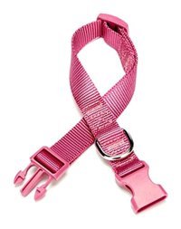 Doggie Classic Ayarlanabilir Boyun Köpek Tasması 2 x 30 - 45 cm Mor