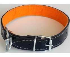 Le-Sar Ls-13 Ayarlanabilir Köpek Tasması 3.5 x 70 cm Çok Renkli