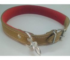 Le-Sar Ls-454 Ayarlanabilir Köpek Tasması 3.5 x 70 cm Çok Renkli