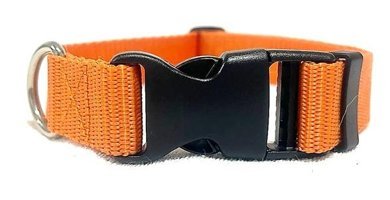 Ehlipet Ayarlanabilir Boyun Köpek Tasması 2.5 x 35 - 50 cm Turuncu