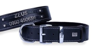 Doggie İsimli Ayarlanabilir Boyun Köpek Tasması 4 x 47 - 55 cm Siyah