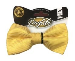 Doglife Köpek Tasması 12 cm Sarı