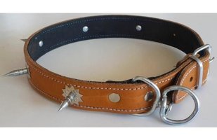 Le-Sar Ls-720 Ayarlanabilir Köpek Tasması 3.5 x 70 cm Çok Renkli