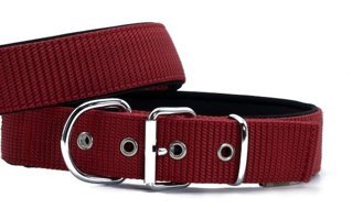 Doggie Elit Ayarlanabilir Boyun Köpek Tasması 4 x 52 x 60 cm Kırmızı
