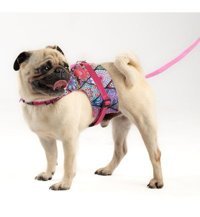 Patipatron Kaçış Önleyici Ayarlanabilir Göğüs Köpek Tasması M Pembe