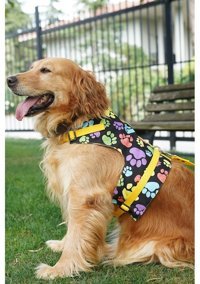 Patipatron Kaçış Önleyici Ayarlanabilir Göğüs Köpek Tasması 4XL Sarı