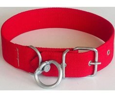 Le-Sar Ls-06 Ayarlanabilir Boyun Köpek Tasması 4.5 x 70 cm Çok Renkli